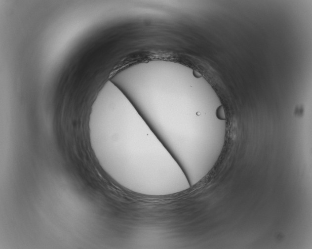 X0000111180763200907011032