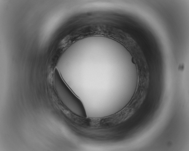 X0000111180766200907011032
