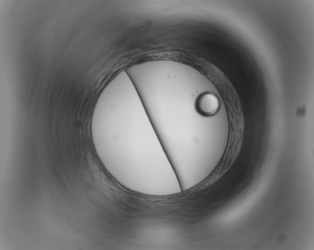 X0000111180767200907011032