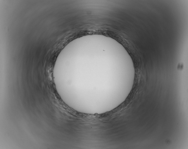 X0000111180770200907011031