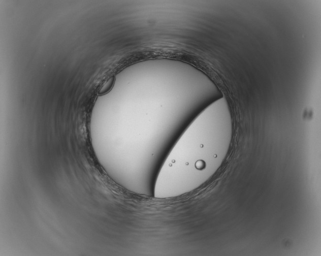 X0000111180771200907011031