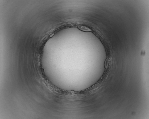 X0000111180772200907011031