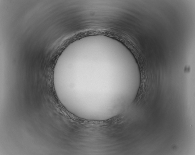 X0000111180773200907011031