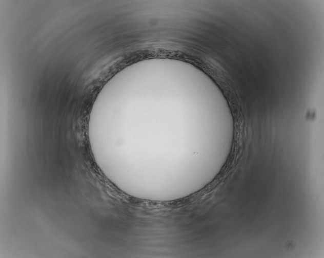 X0000111180774200907011031