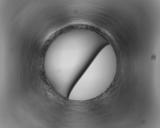 X0000111180775200907011031