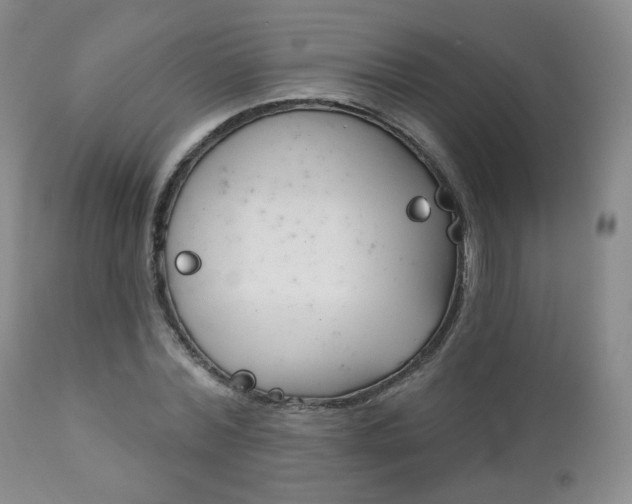 X0000111180780200907011031