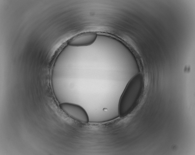 X0000111180781200907011031