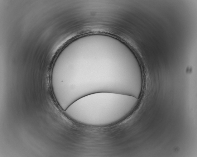 X0000111180782200907011031