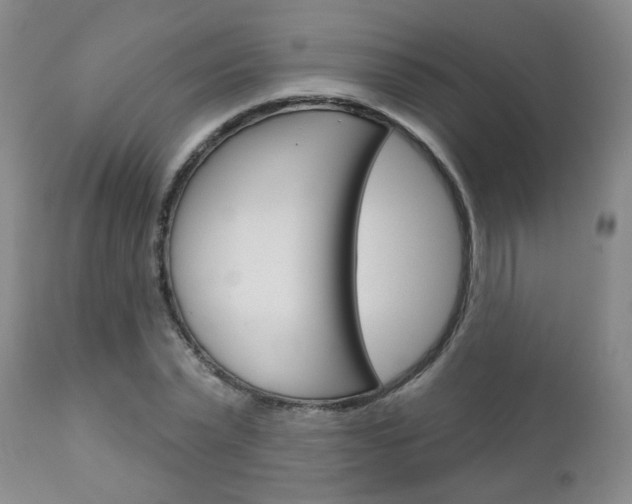 X0000111180783200907011031