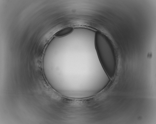 X0000111180785200907011031