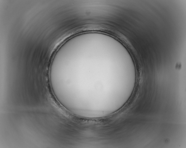 X0000111180786200907011031