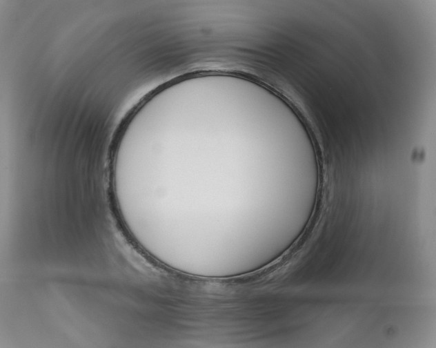 X0000111180787200907011031