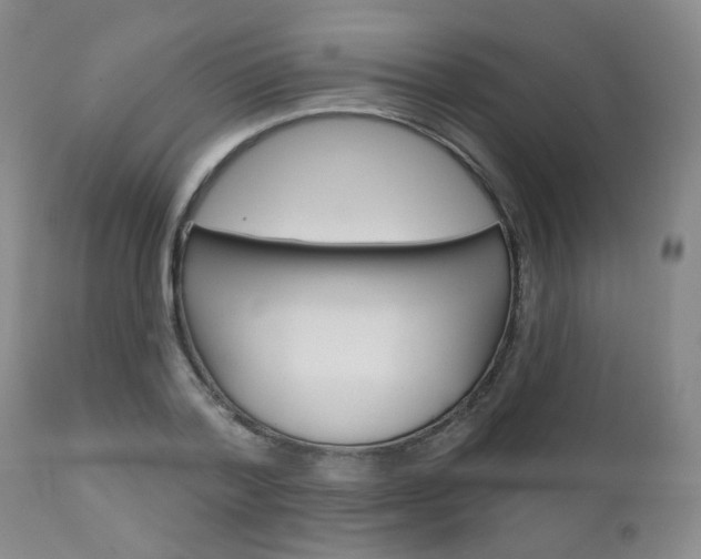 X0000111180788200907011031