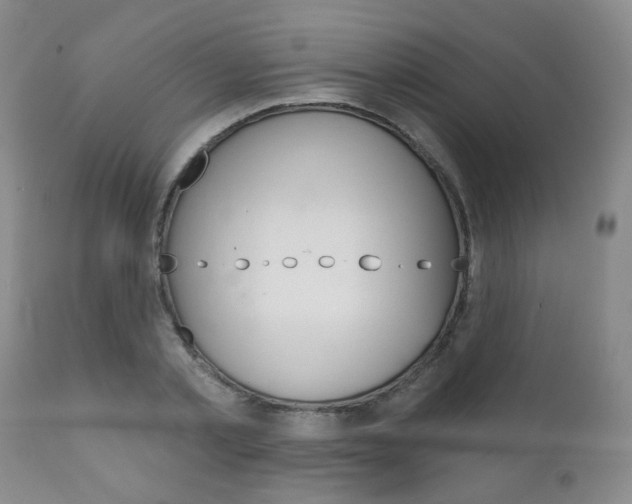 X0000111180789200907011031