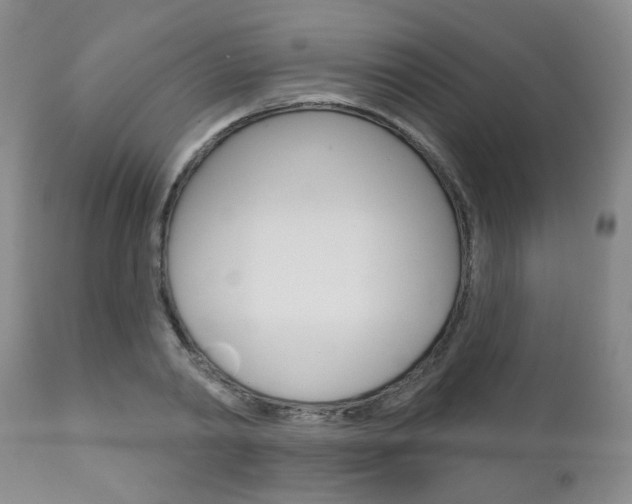 X0000111180790200907011031