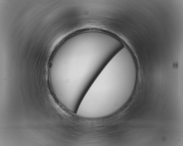 X0000111180791200907011031