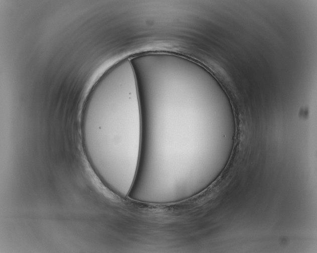 X0000111180792200907011031