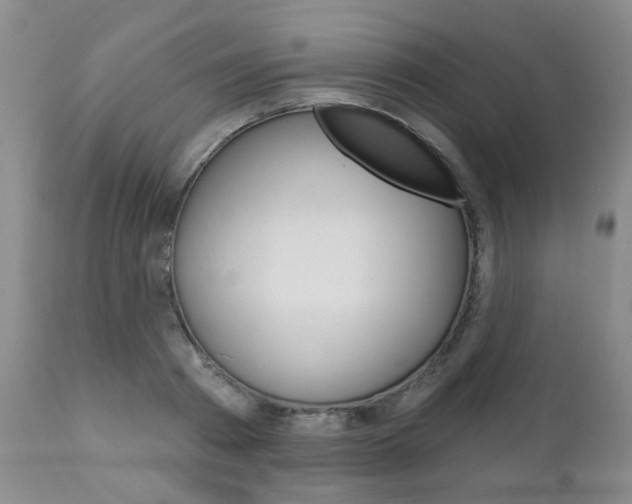 X0000111180793200907011031