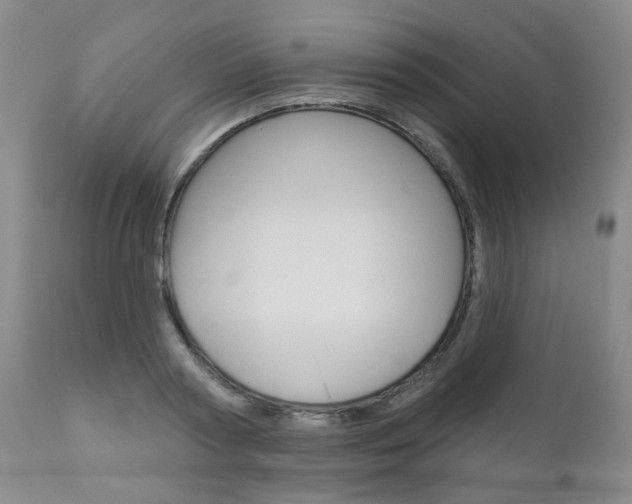 X0000111180794200907011031