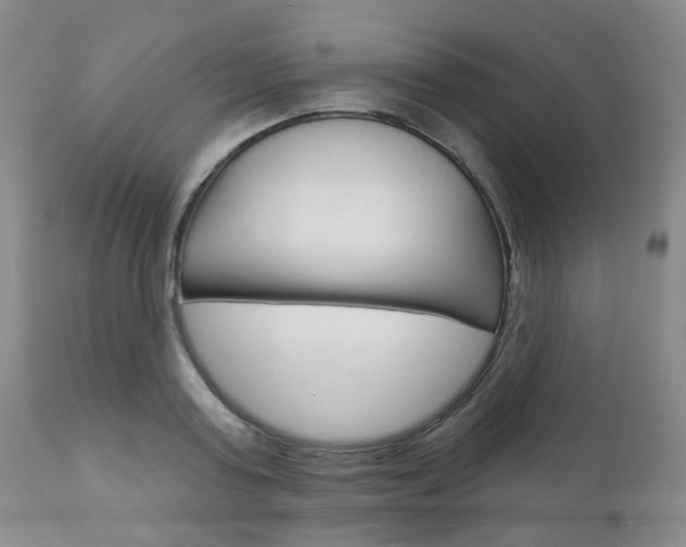 X0000111180795200907011031
