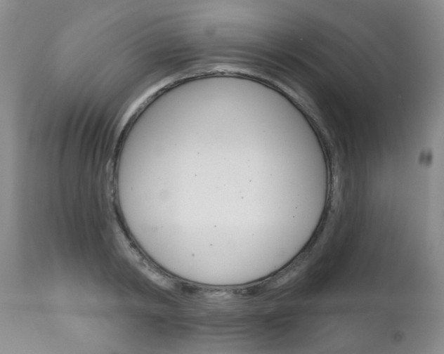 X0000111180798200907011031