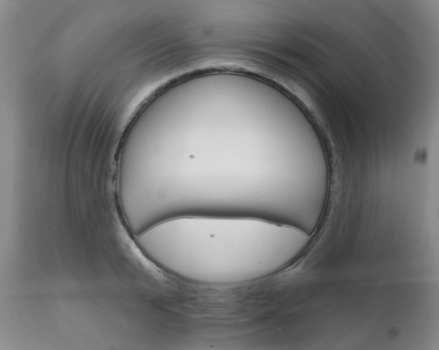 X0000111180799200907011031