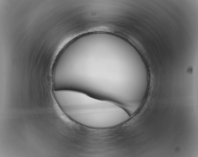X0000111180800200907011031