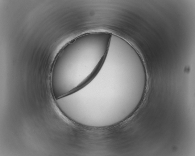 X0000111180805200907011031