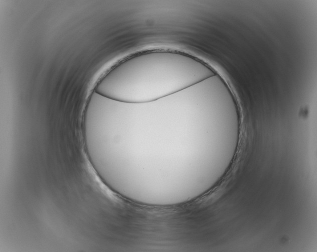 X0000111180807200907011031
