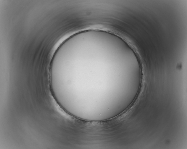 X0000111180808200907011031