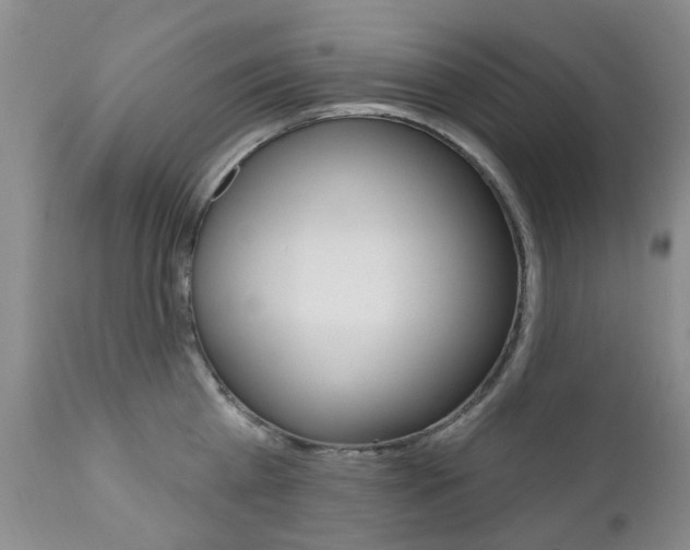 X0000111180809200907011031