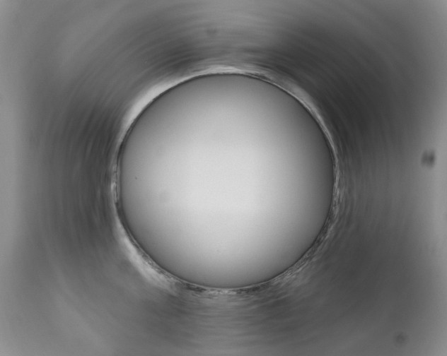 X0000111180811200907011031