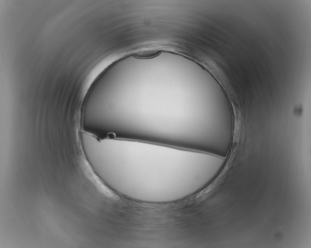 X0000111180812200907011031
