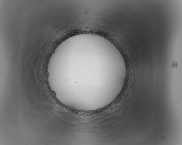X0000111180817200907011030