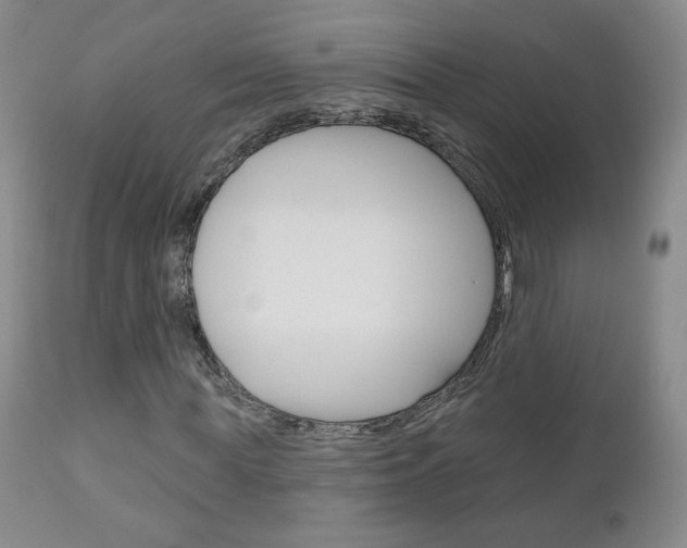 X0000111180819200907011030