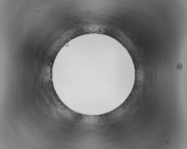 X0000111180820200907011030