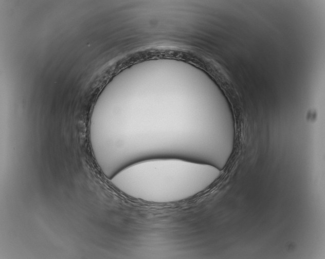 X0000111180821200907011030
