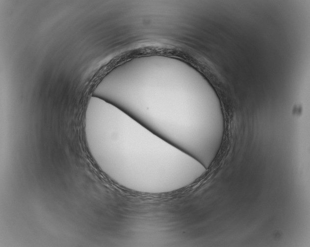 X0000111180822200907011030