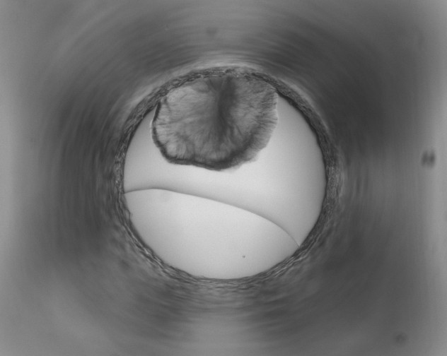 X0000111180823200907011030