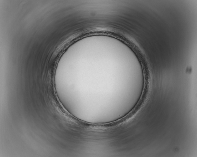X0000111180825200907011030