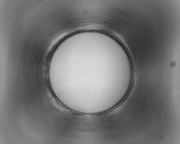 X0000111180827200907011030
