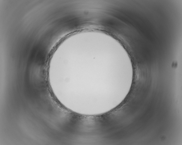 X0000111180828200907011030