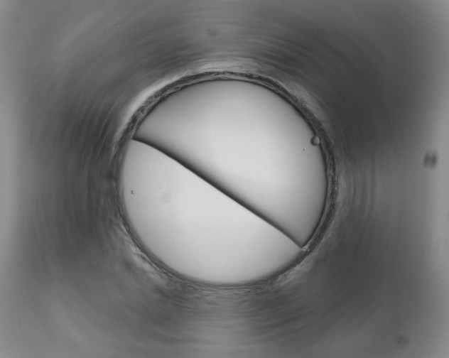 X0000111180830200907011030