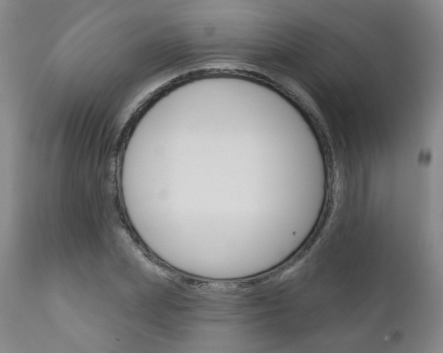 X0000111180831200907011030
