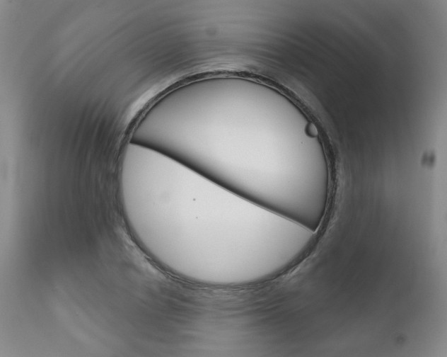X0000111180834200907011030