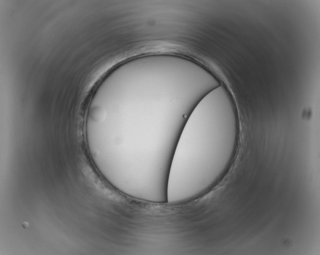 X0000111180835200907011030