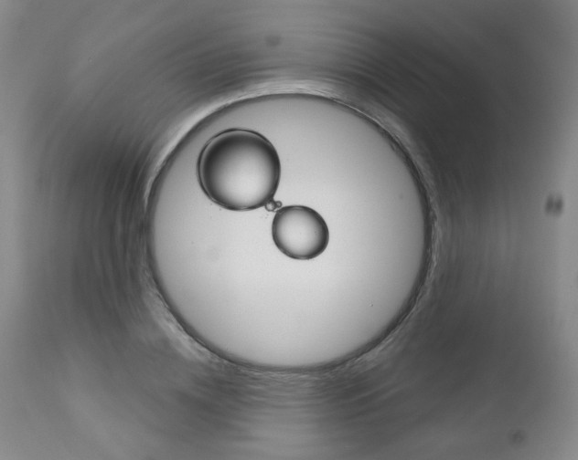 X0000111180836200907011030