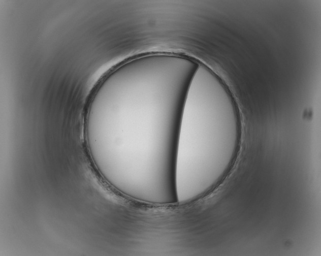 X0000111180838200907011030