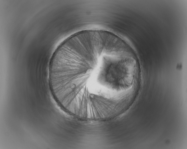 X0000111180839200907011030