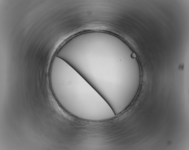 X0000111180840200907011030